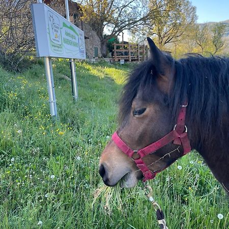 Segarati Relax La Romantica Rocca di Varsi Esterno foto